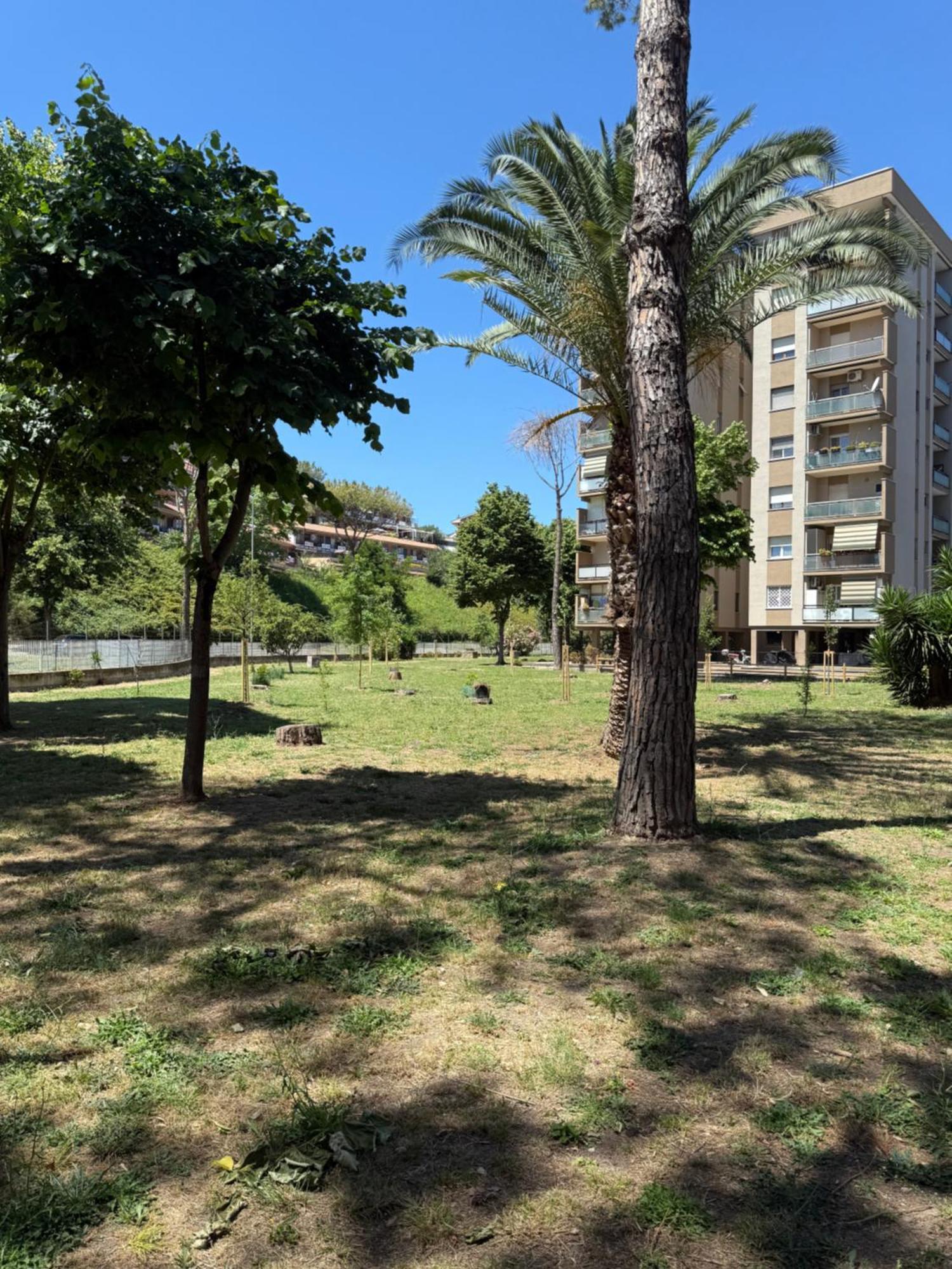 Zona Torrino Appartamento *